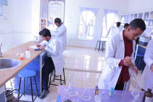 نبذه عن الجامعة