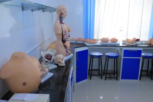 درجة البكالوريوس في القبالة