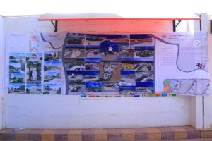 الذكاء الاصطناعي في مشاريع تنسيق المواقع