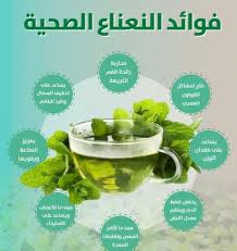 فوائد النعناع